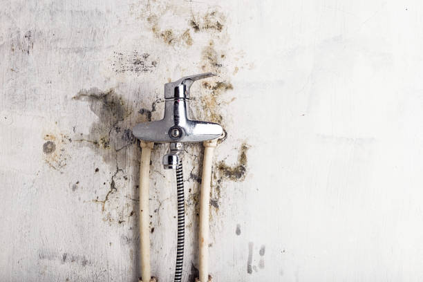 Mold Removal and Inspection in Darnestown, MD
