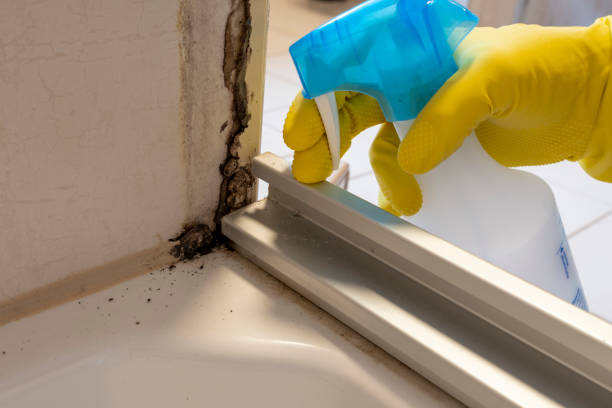 Best Mold Removal Process  in Darnestown, MD