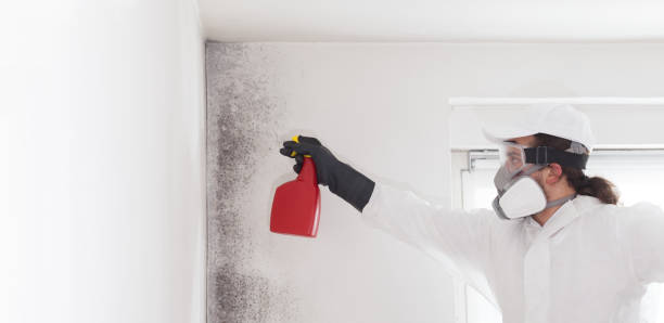 Best Certified Mold Removal  in Darnestown, MD