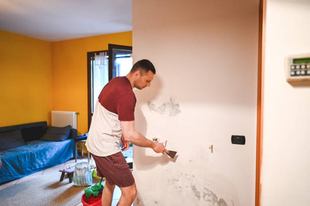 Best Commercial Mold Removal  in Darnestown, MD