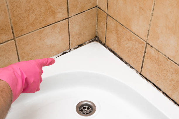 Best Fast Mold Removal  in Darnestown, MD